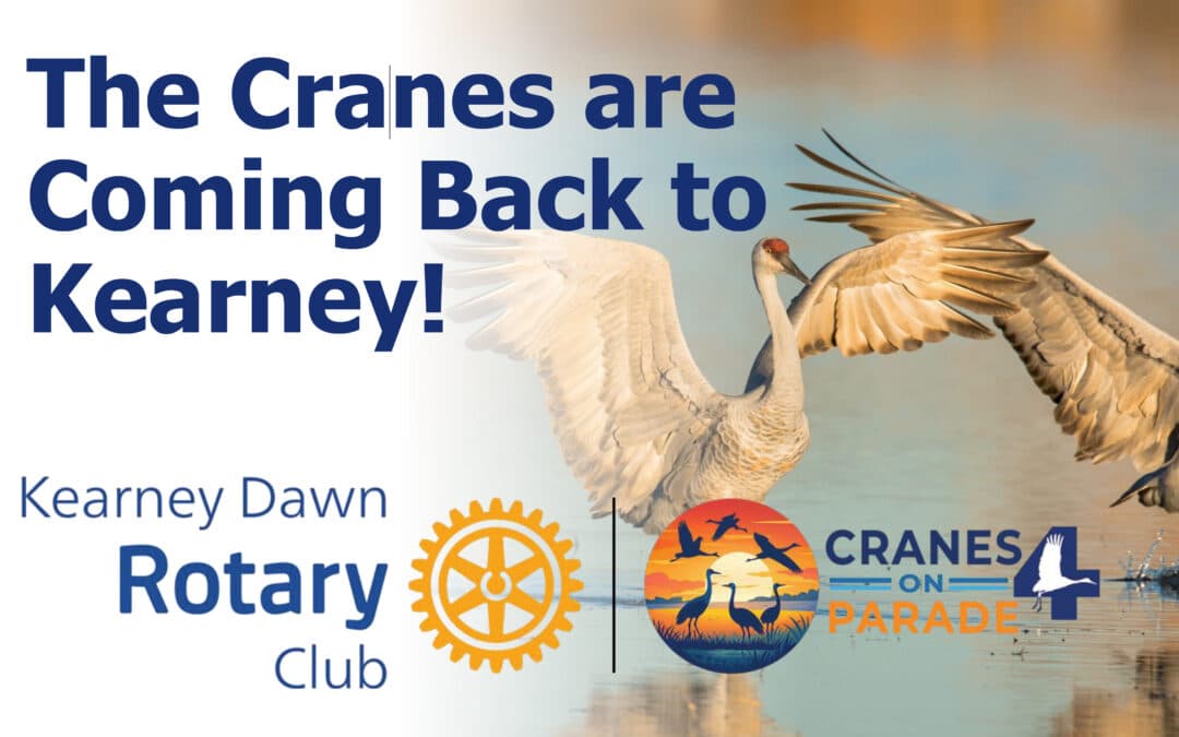 Cranes on Parade 4